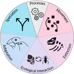 Process-explicit models reveal the structure and dynamics of biodiversity patterns
